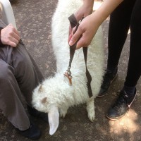 /album/ferme-nomade/photos-ferme-nomade-jpg1/